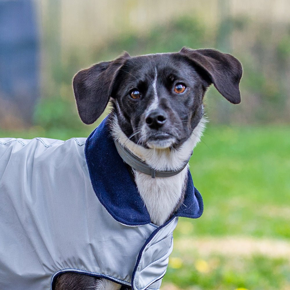 Impermeabile per cani in tonalità GRIGIO-AZZURRO