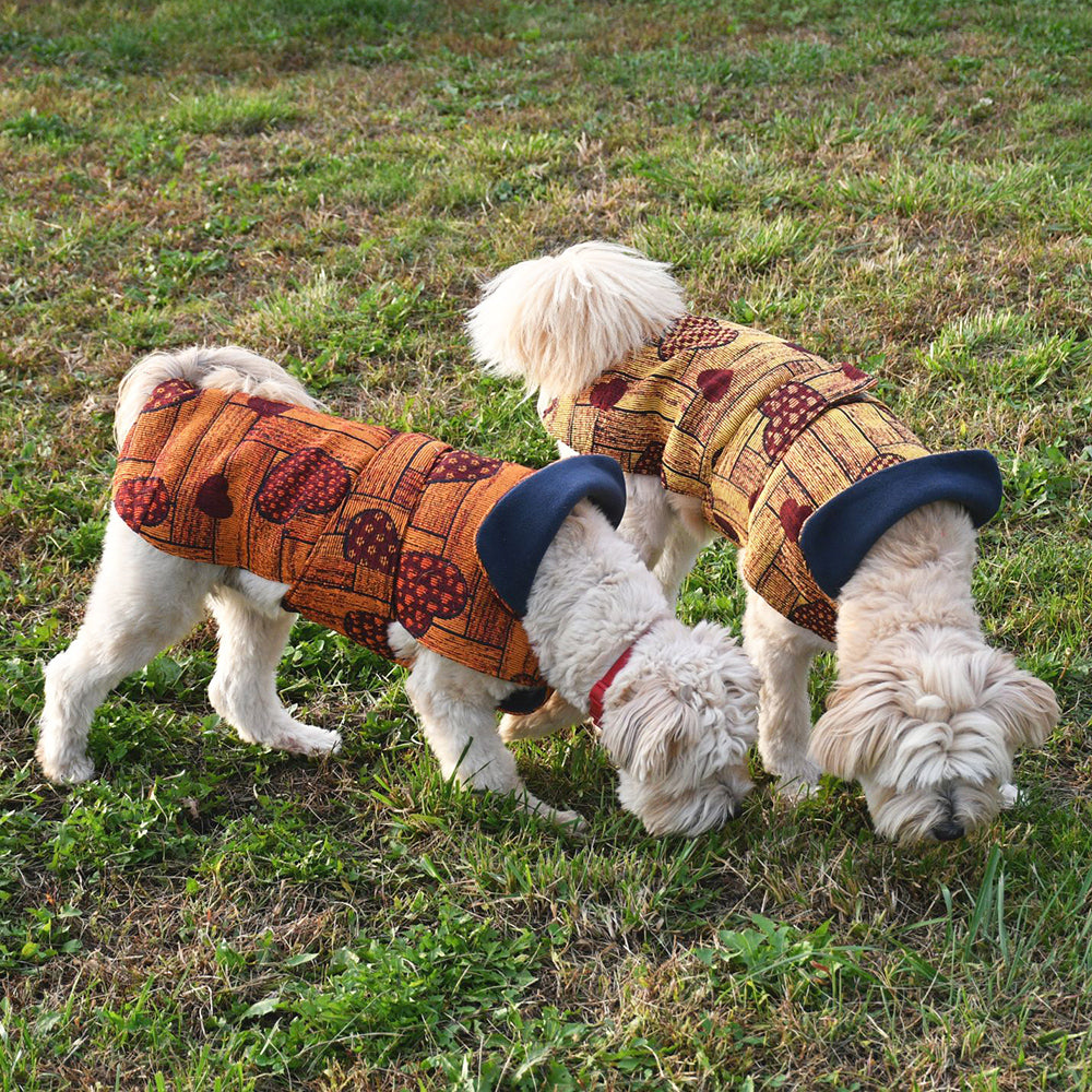 Cappottino Cuore GIALLO