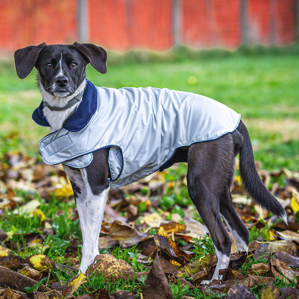 Impermeabile per cani in tonalità GRIGIO-AZZURRO