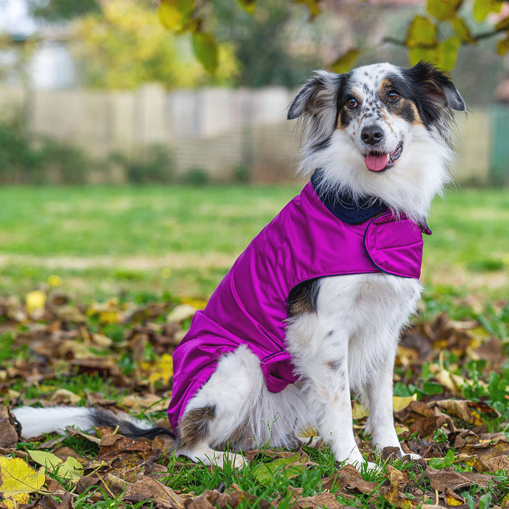 Impermeabile per cani in tonalità VIOLA