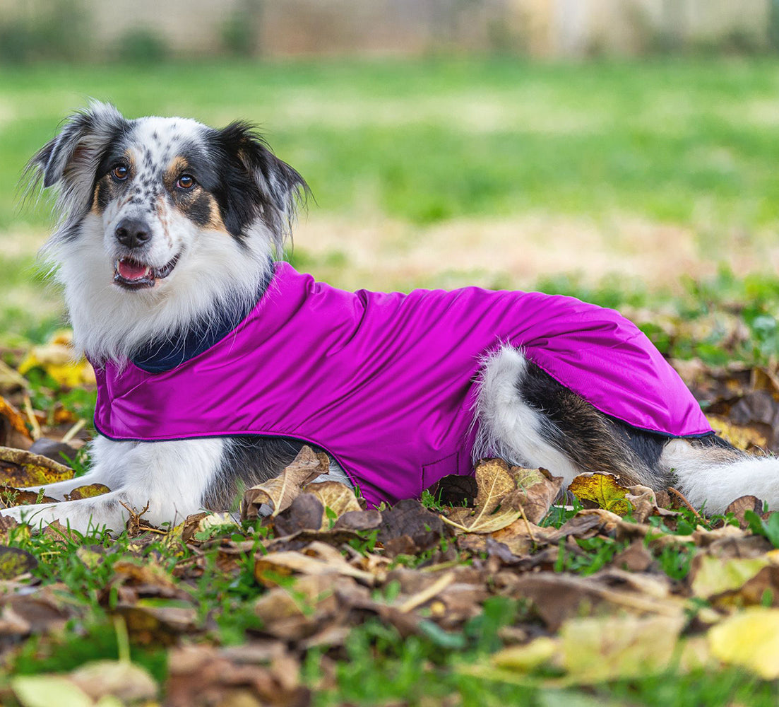 Impermeabile per cani in tonalità VIOLA