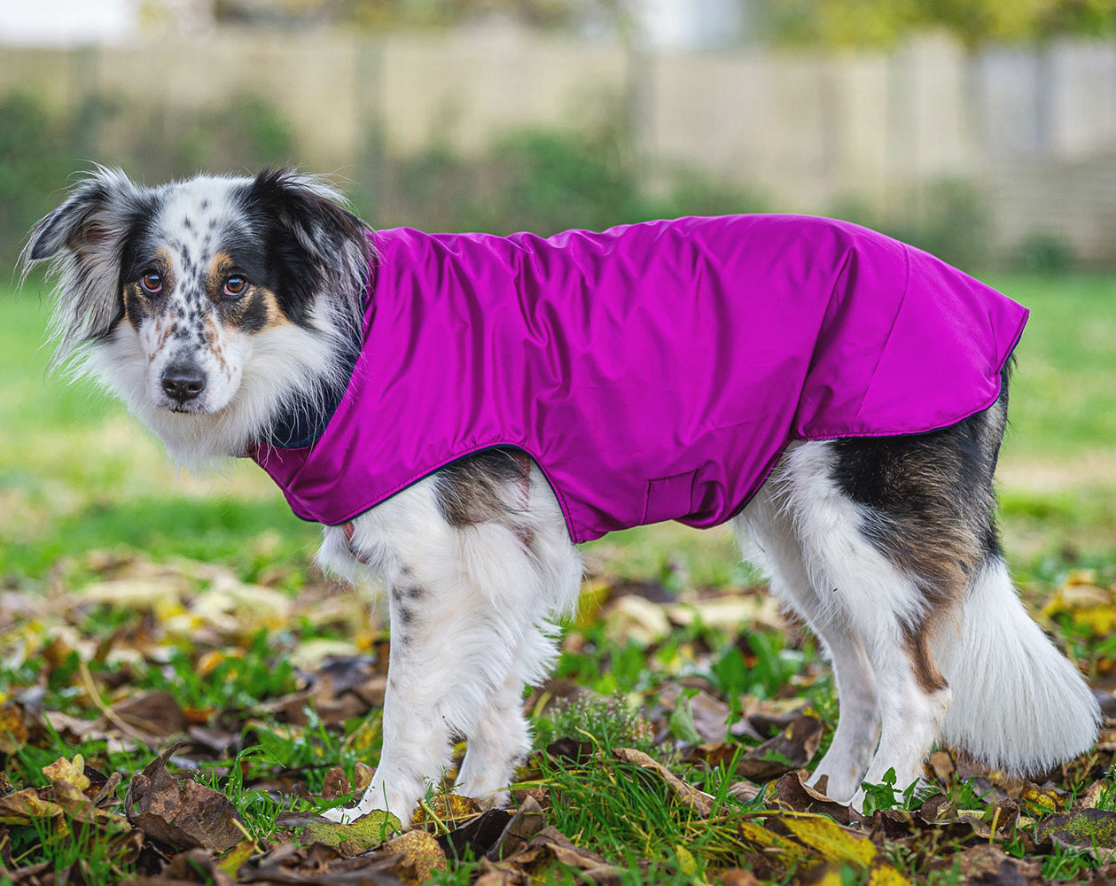 Impermeabile per cani in tonalità VIOLA