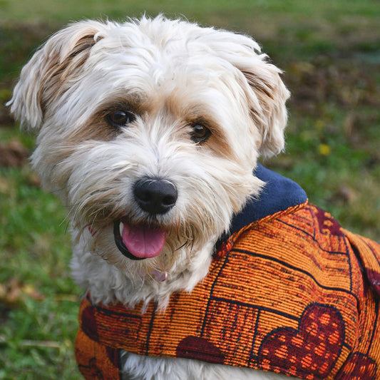 Cappottino Cuore ARANCIO