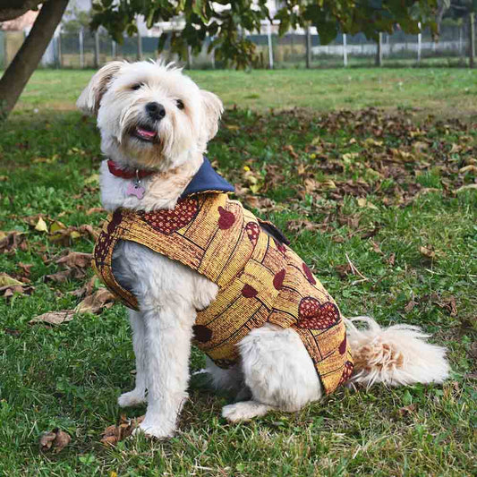 Cappottino Cuore GIALLO