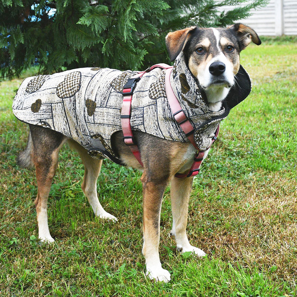 Cappottino Cuore OCRA ORO