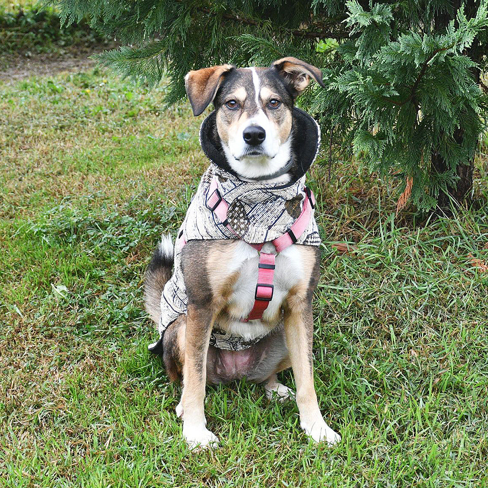 Cappottino Cuore OCRA ORO