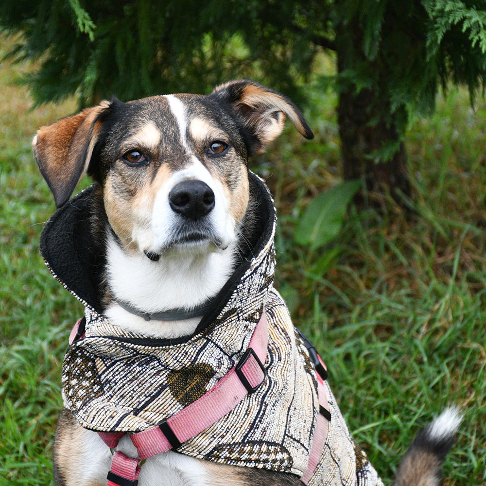 Cappottino Cuore OCRA ORO