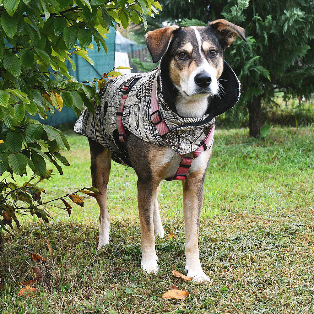 Cappottino Cuore OCRA ORO