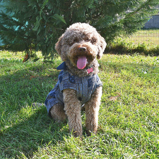 Cappottino Cuore BLU