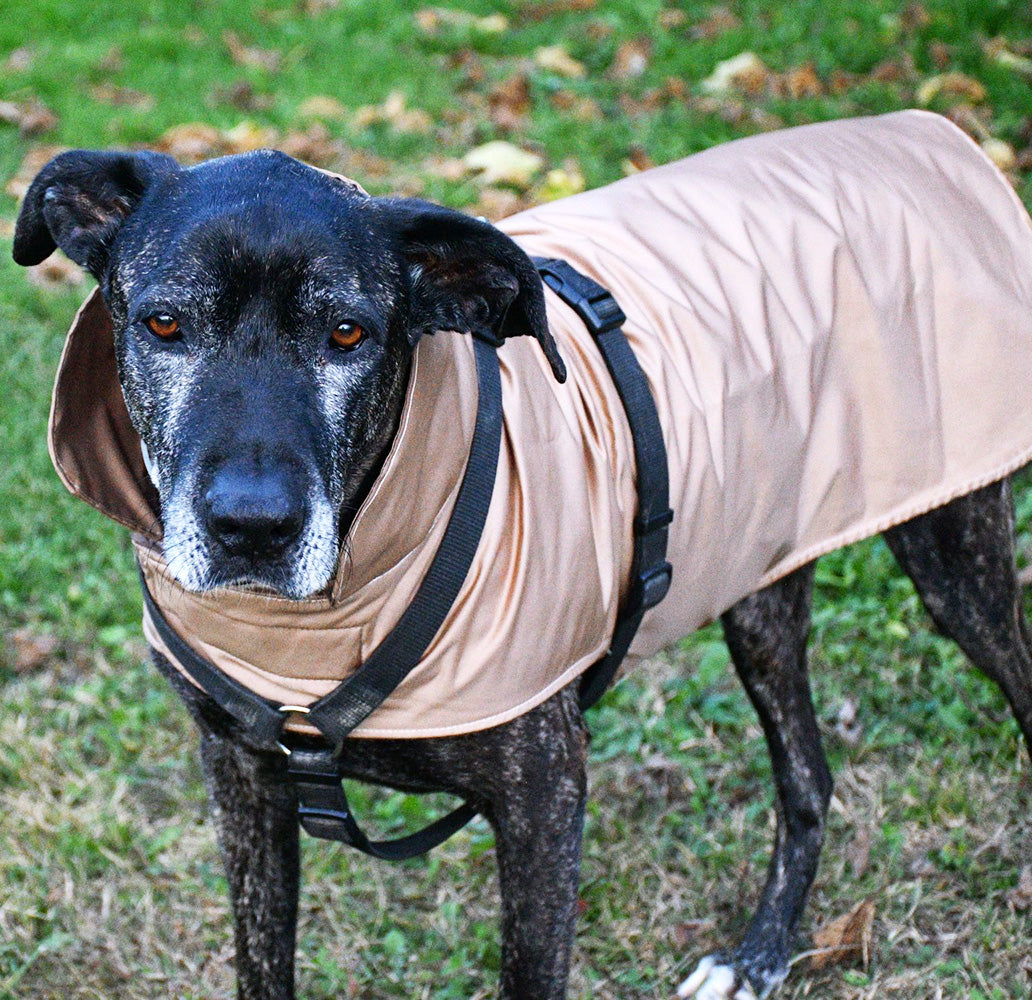Impermeabile per cani in tonalità OCRA-ORO