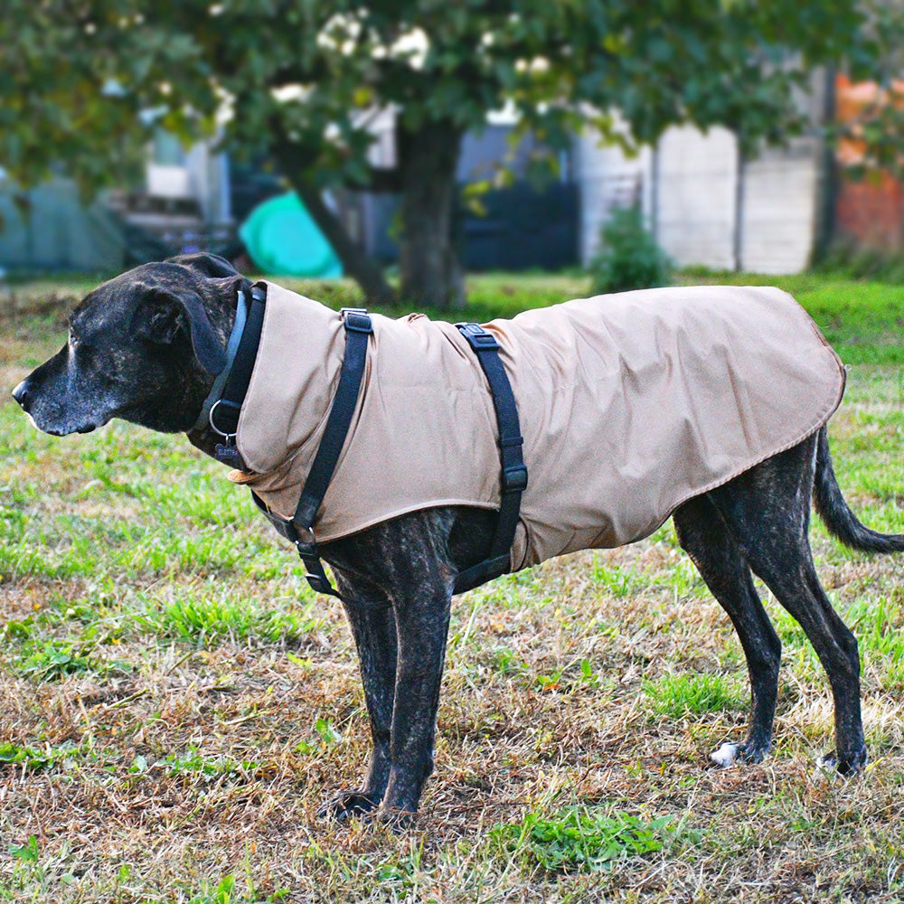 Impermeabile per cani in tonalità OCRA-ORO