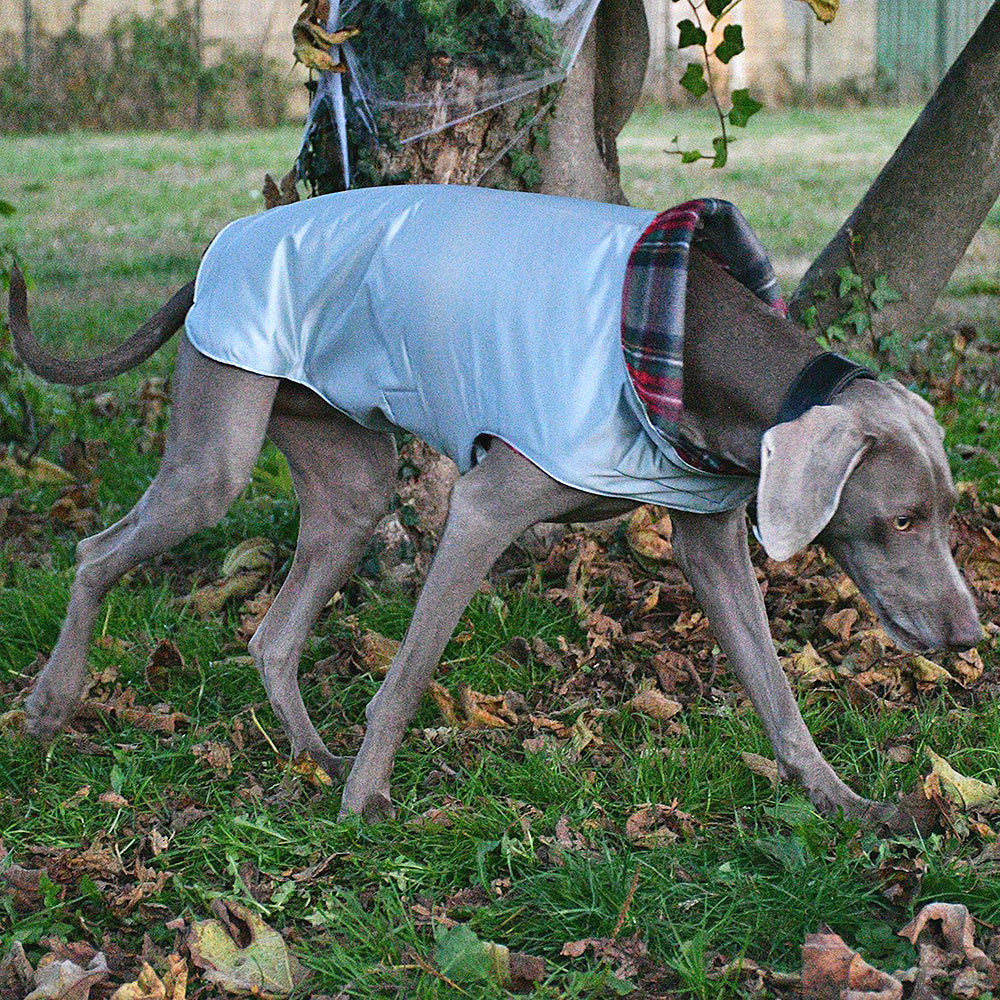 Impermeabile per cani in tonalità GRIGIO-AZZURRO