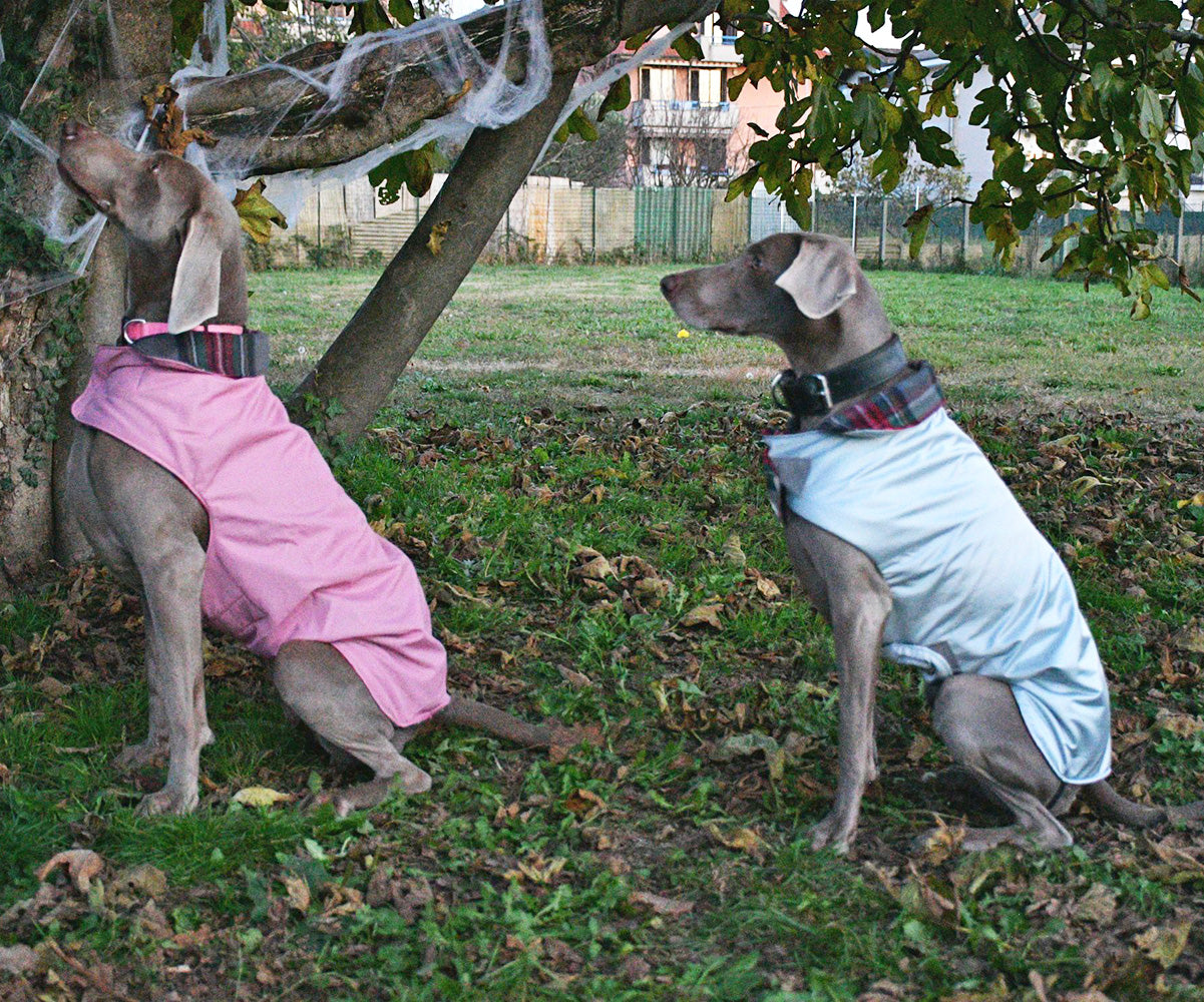 Impermeabile per cani in tonalità ROSA