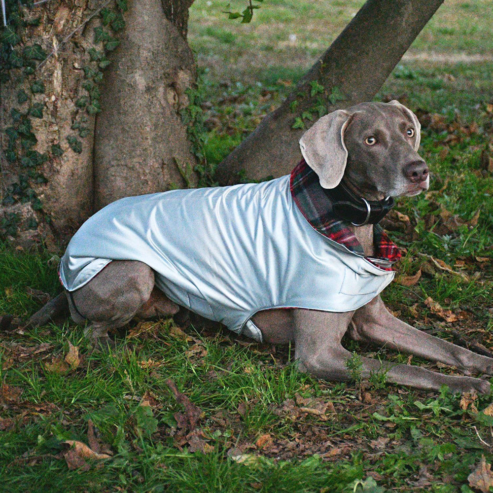 Impermeabile per cani in tonalità GRIGIO-AZZURRO