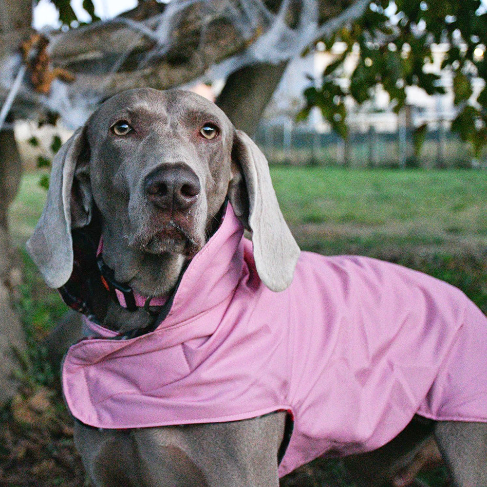 Impermeabile per cani in tonalità ROSA