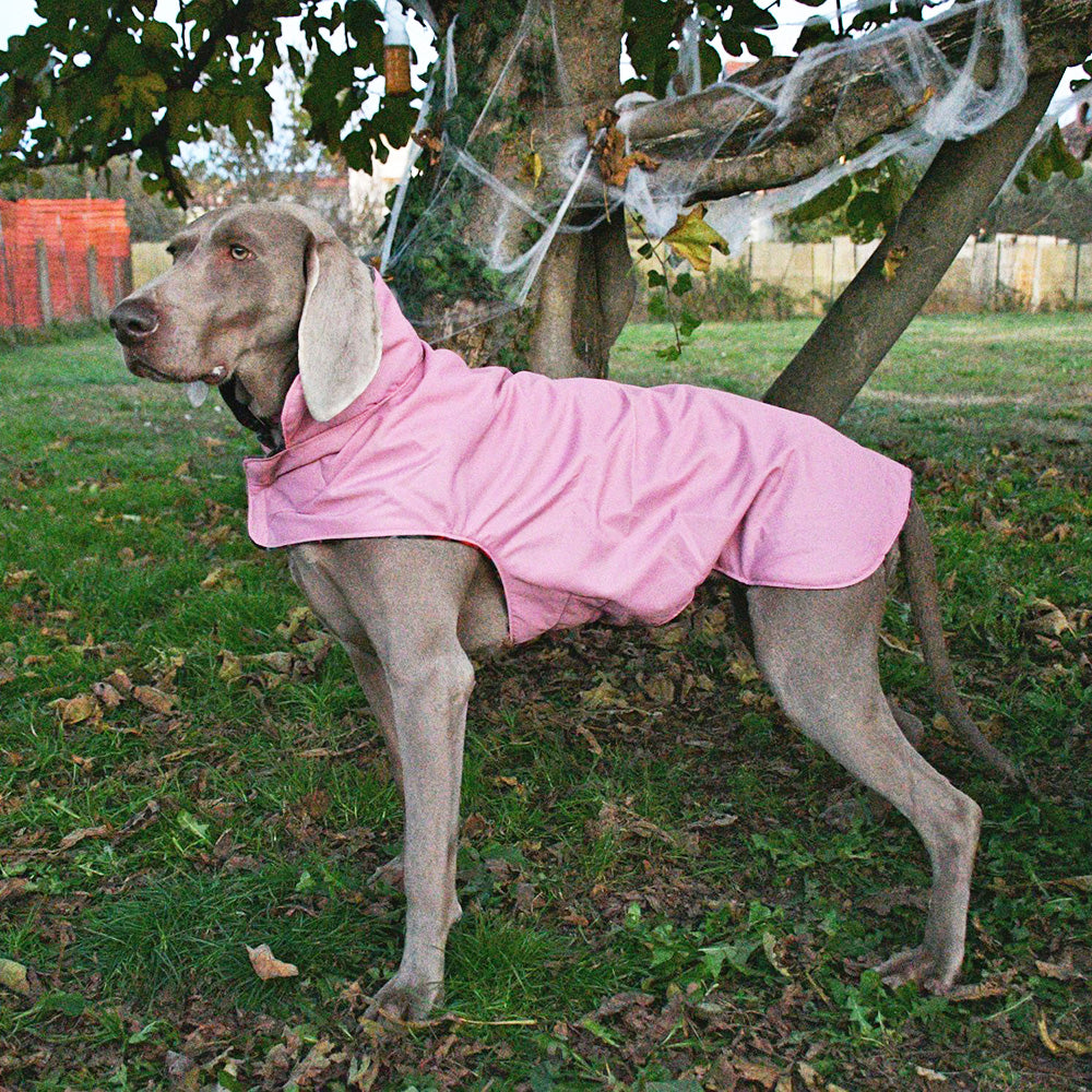 Impermeabile per cani in tonalità ROSA