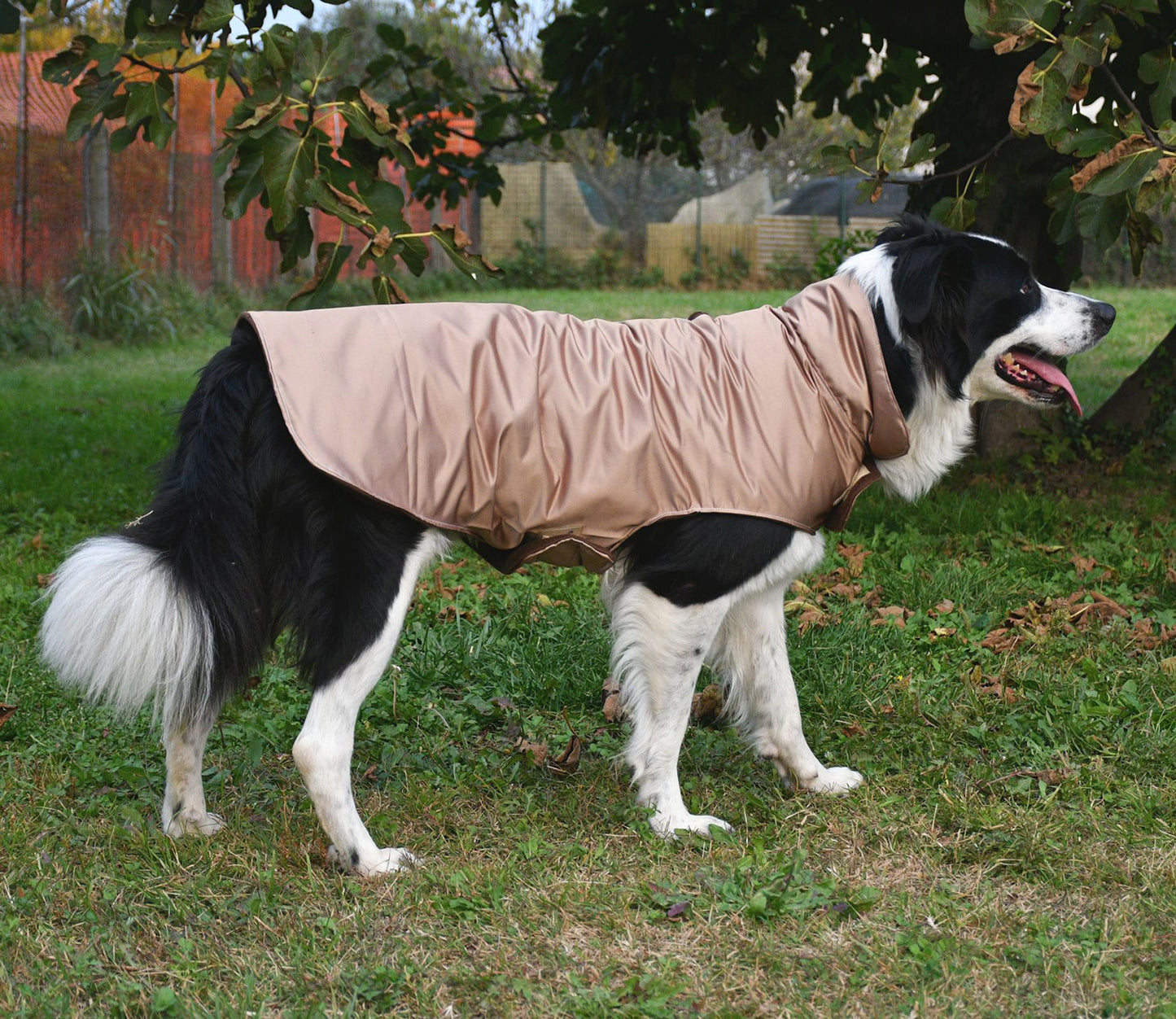 Impermeabile per cani in tonalità OCRA-ORO