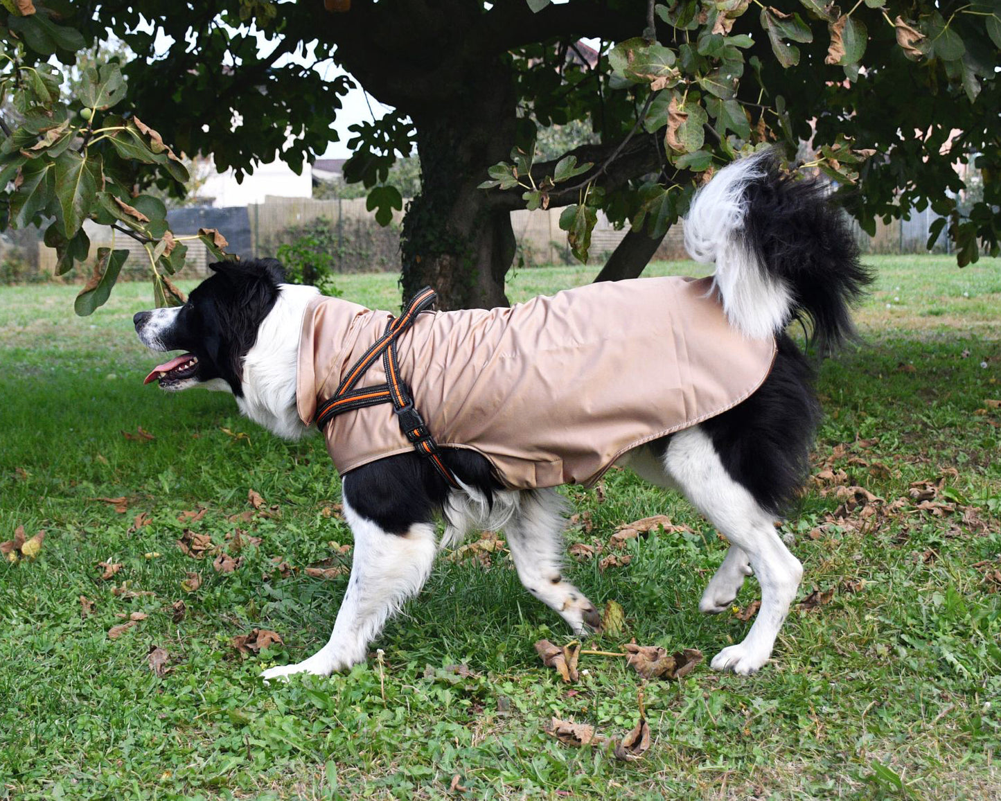 Impermeabile per cani in tonalità OCRA-ORO