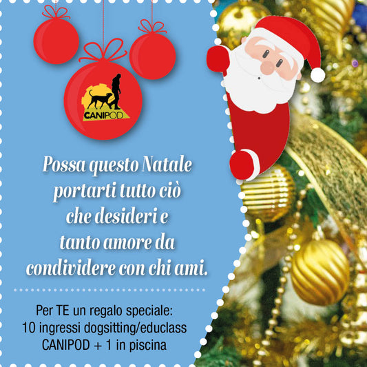 10 ingressi dogsitting 1/2 giornata