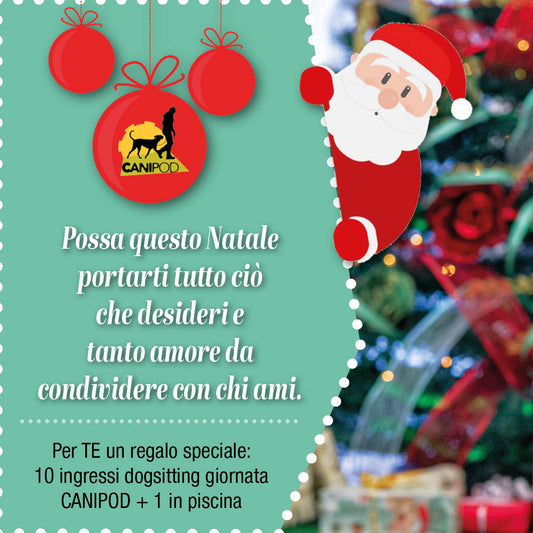 10 ingressi dogsitting giornata